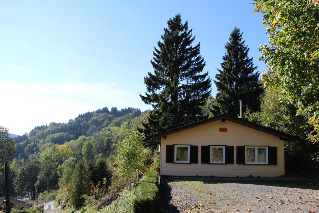 Schoene Aussicht Sankt Andreasberg Exterior foto