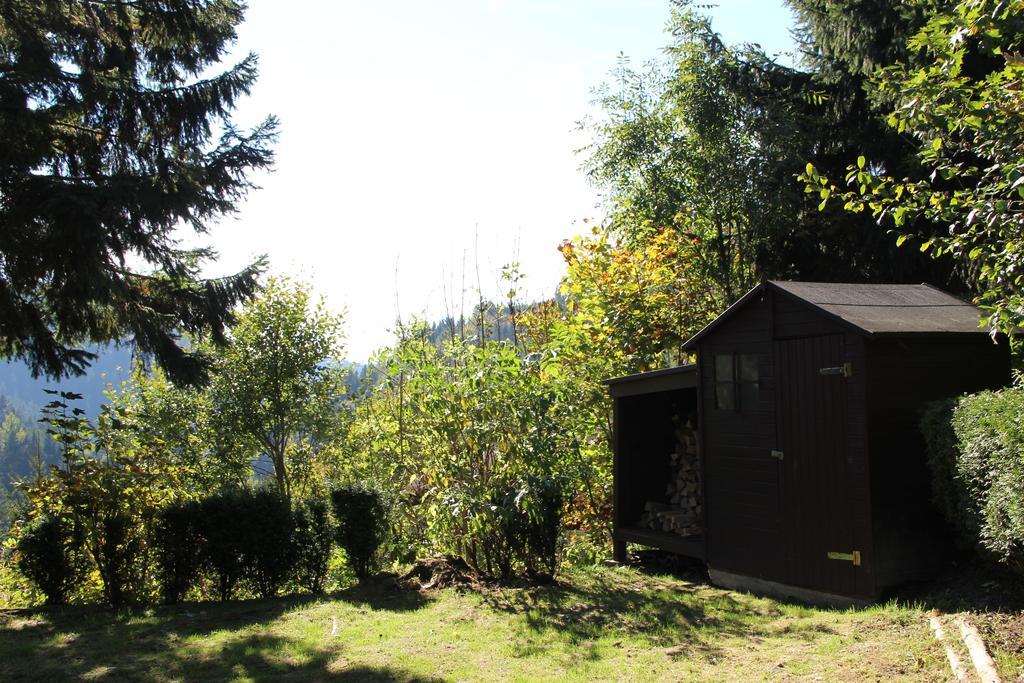 Schoene Aussicht Sankt Andreasberg Exterior foto